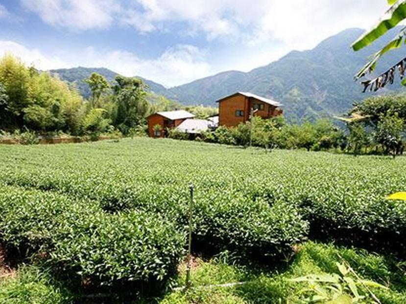 Meishan Walk Cloud Bed And Breakfast מראה חיצוני תמונה
